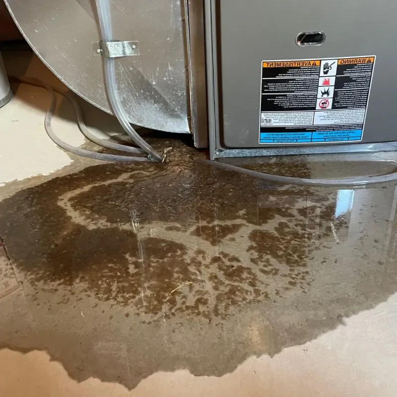 Pipe Burst and Leak Restoration in Oakwood, OH