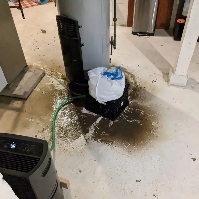 Sewage Backup Cleanup Service in Oakwood, OH